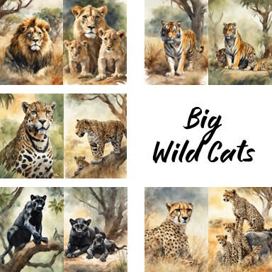 Big Wild Cats